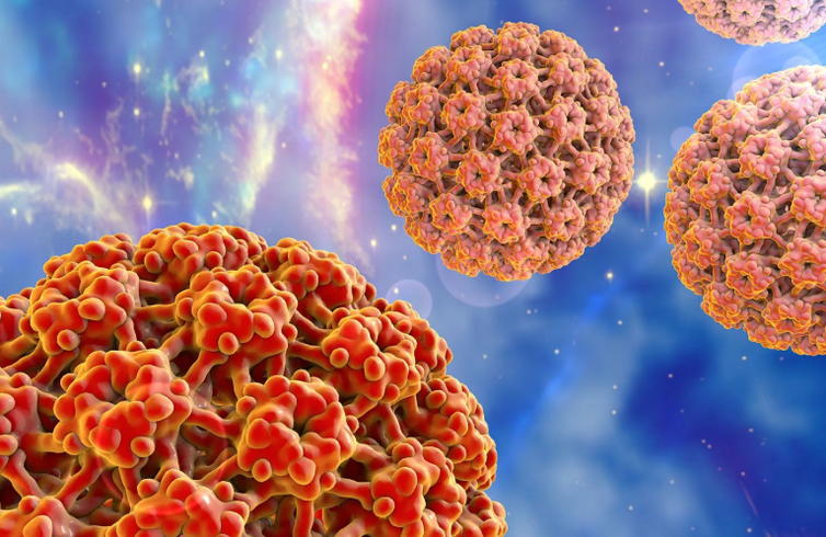 Virus do papiloma humano