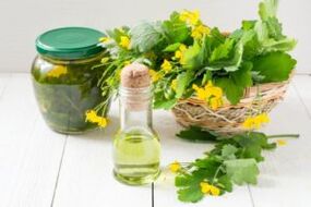 Infusións e herba