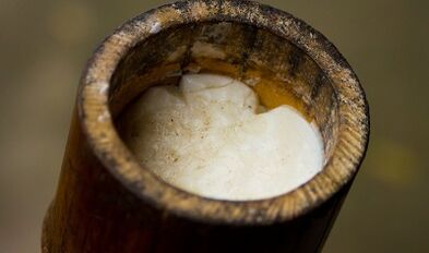 Aceite da árbore do té para tratar as verrugas