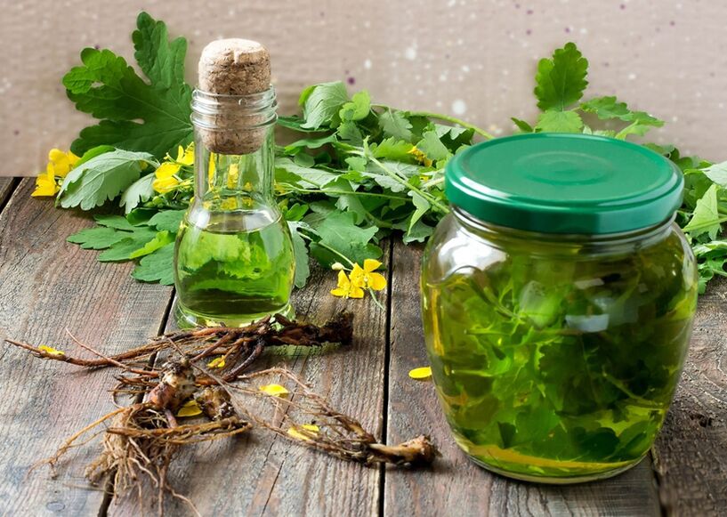 Infusión de celidonia para combater os papilomas